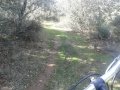 10783289834_510498cd51_b