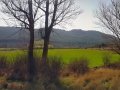 20140313_161309-PANO