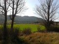 20140313_161314