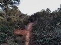 20140510_202659