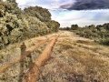 Cortafuegos entre Alija y Arrabalde