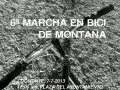 Cartel VI Marcha no oficial