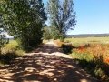 Camino de Bécares