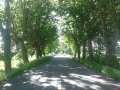 20130511_173804
