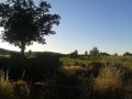 20130615_210033