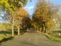20131103_171422