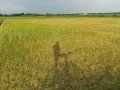 20140510_200728