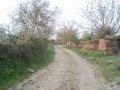 8782717557_82451cd47e_h