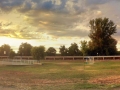 Panorámica